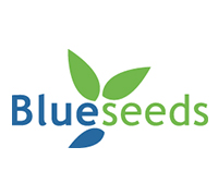 logo-blueseeds